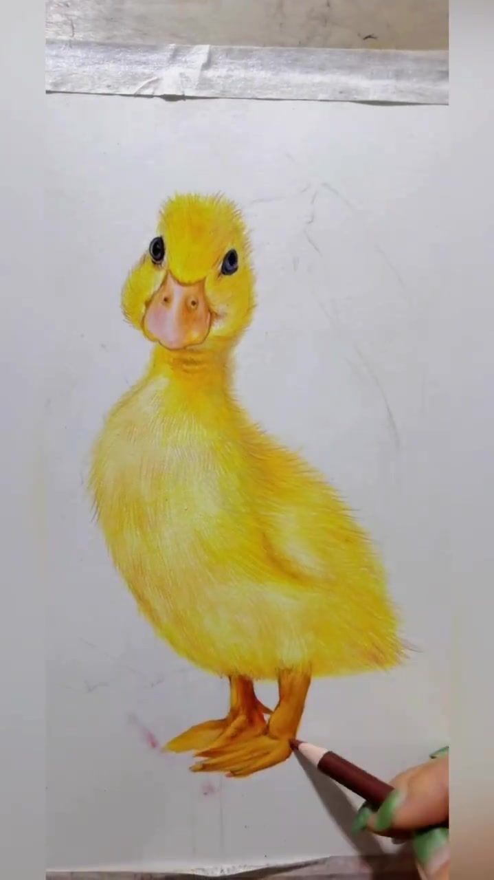 彩铅小黄鸭,绘画日常
