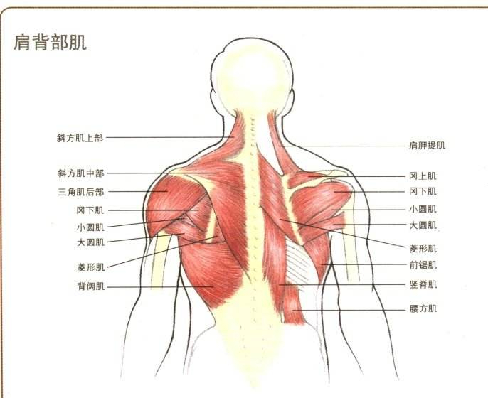 打工人