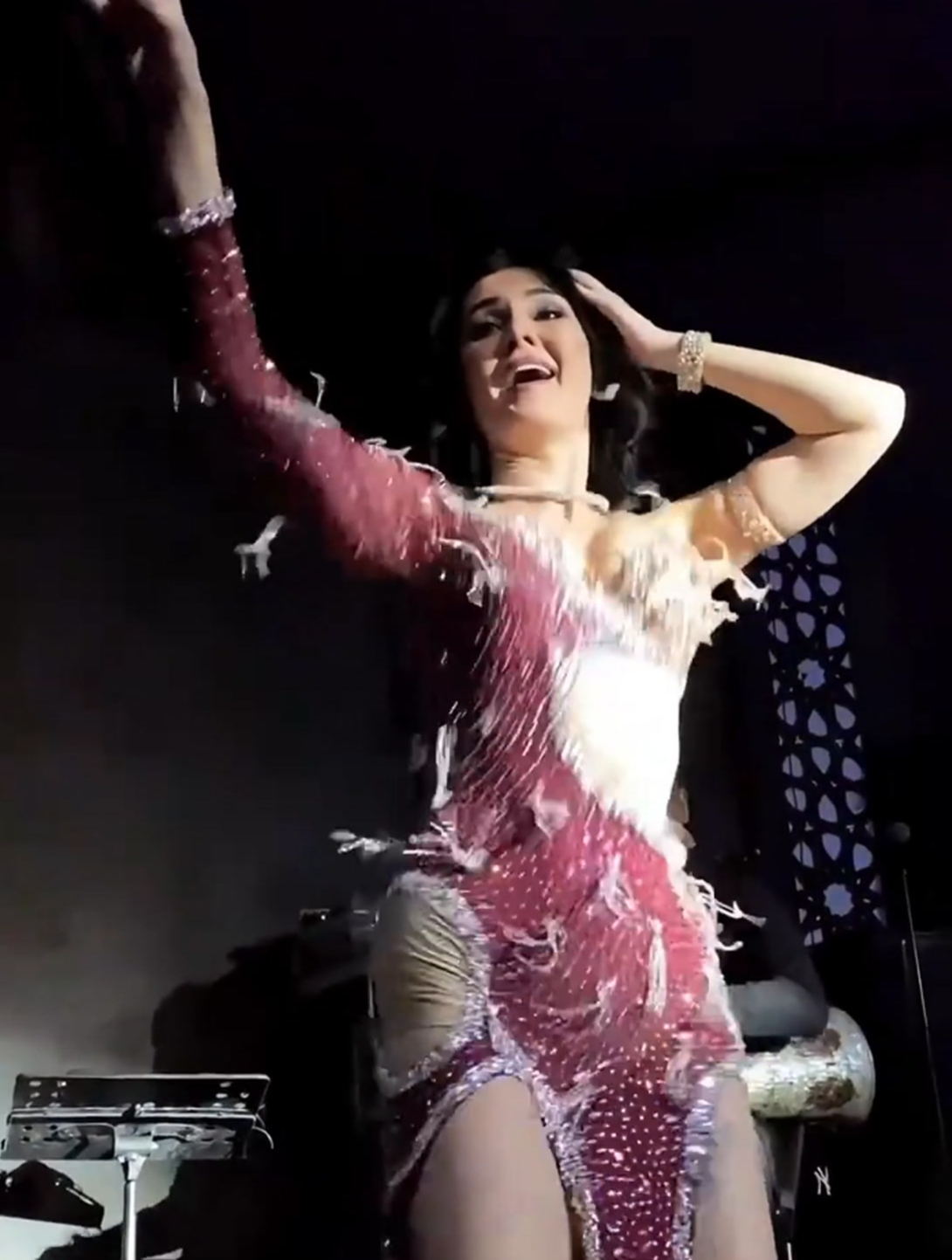 绝美肚皮舞表演,埃及美女动感舞姿甚是迷人!