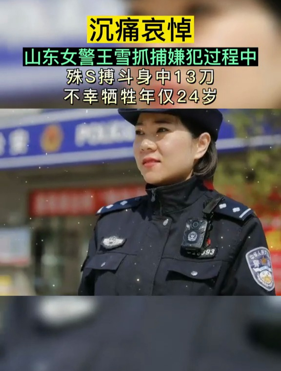 公安民警王雪图片