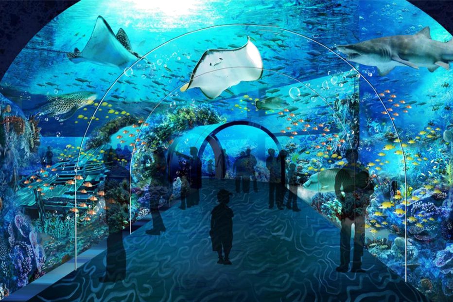 火了!邢台海洋乐园里,能挖出什么"花"?