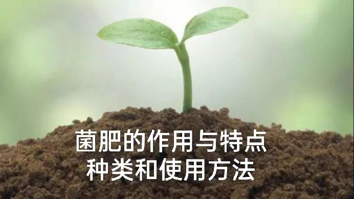 微生物菌肥的作用与特点,菌肥的正确使用方法,菌肥的种类