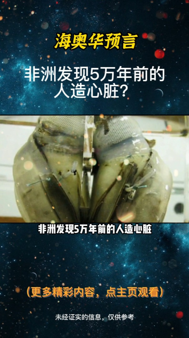 非洲发现5万年前的人造心脏,震惊世界,地球上真有外星文明吗?