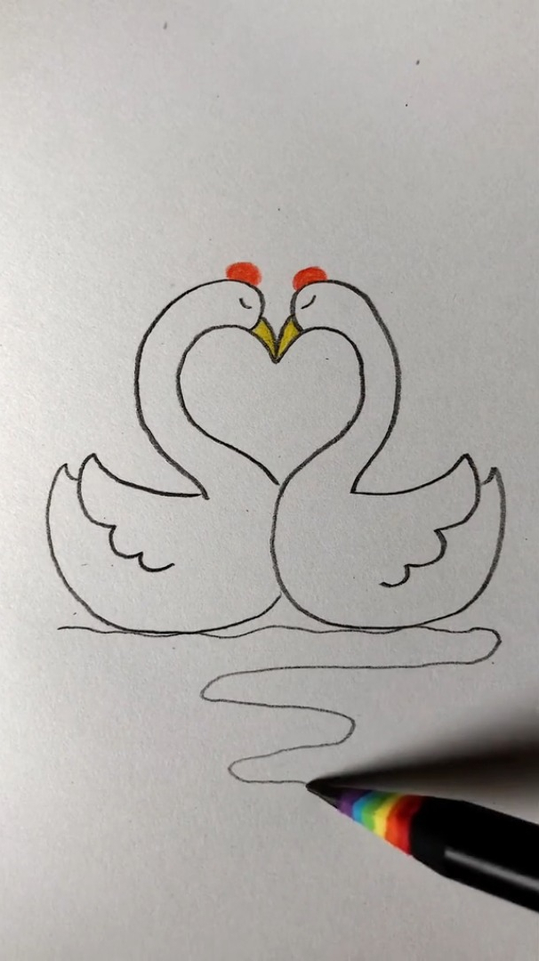 铅笔画;成双成对的天鹅