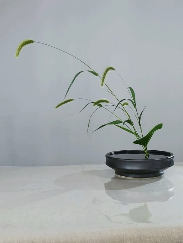 狗尾草插花比例