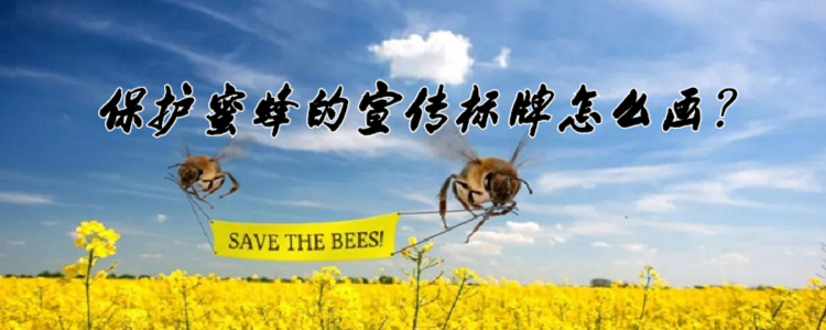 蜜蜂的宣传标牌怎么画图片
