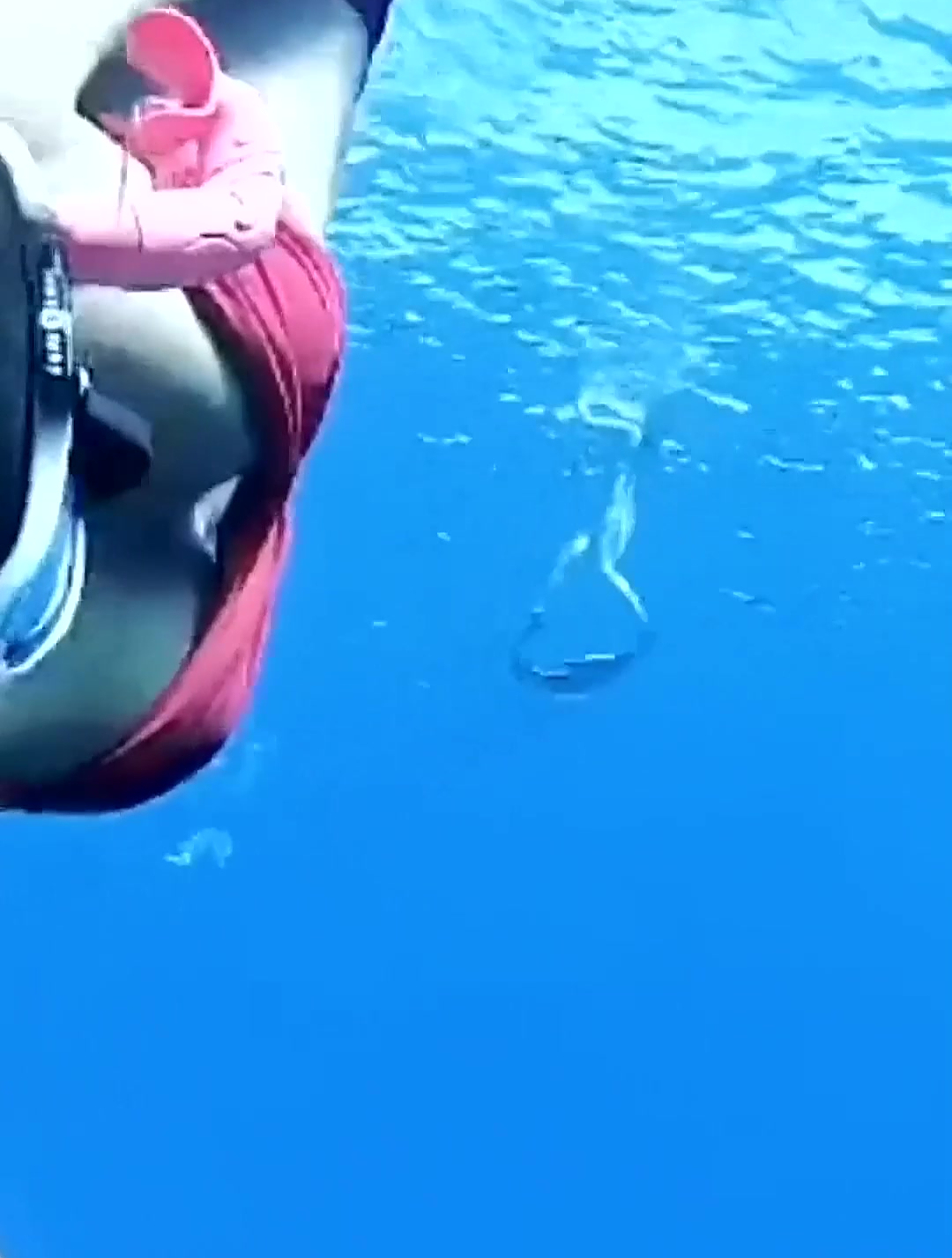 美女潜水花式玩耍,水下的她有点迷人,直接沦陷了!