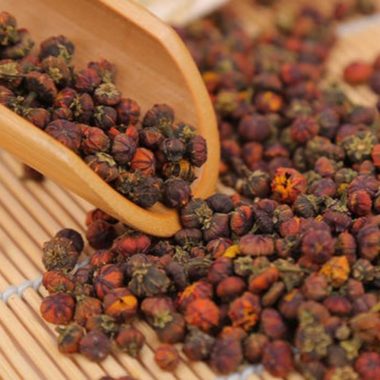 昆仑胎菊的功效与作用