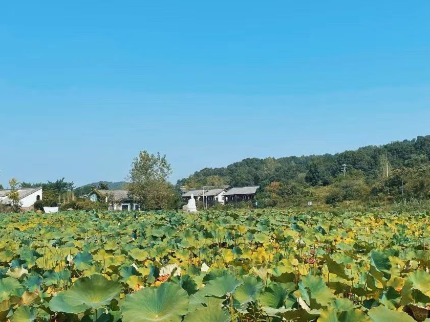 郝堂村附近景点图片