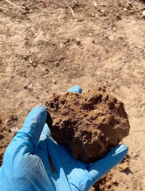 土壤板结,别"乱"浇水,只用"1招",土瓤疏松,养啥都旺!-度小视