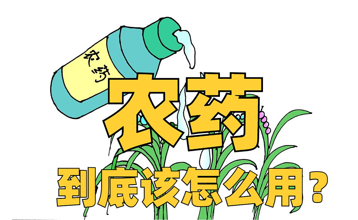 "农药"你真的会用吗?做到这三点,不仅效果好,成本还节约40%