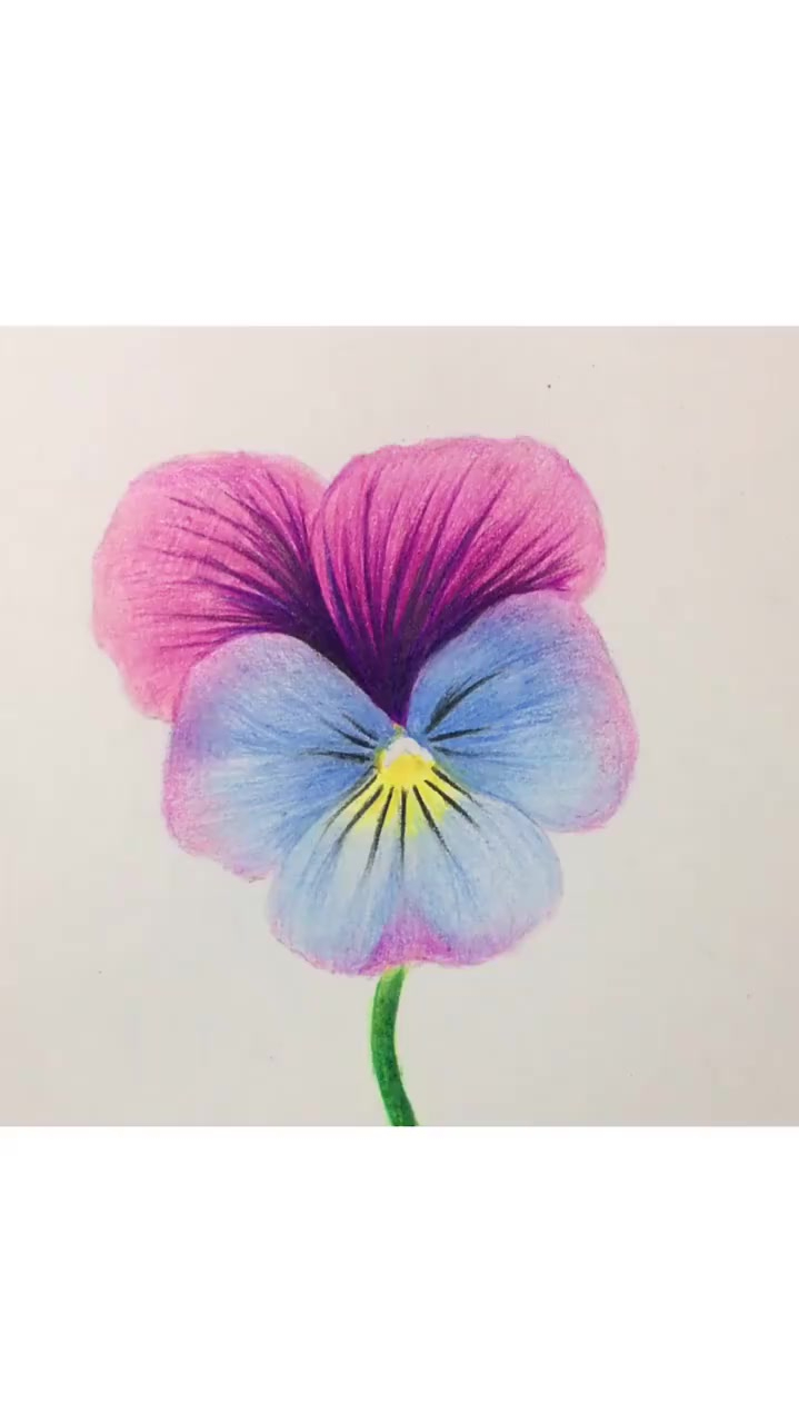 今天用叠色法教你们画彩铅三色