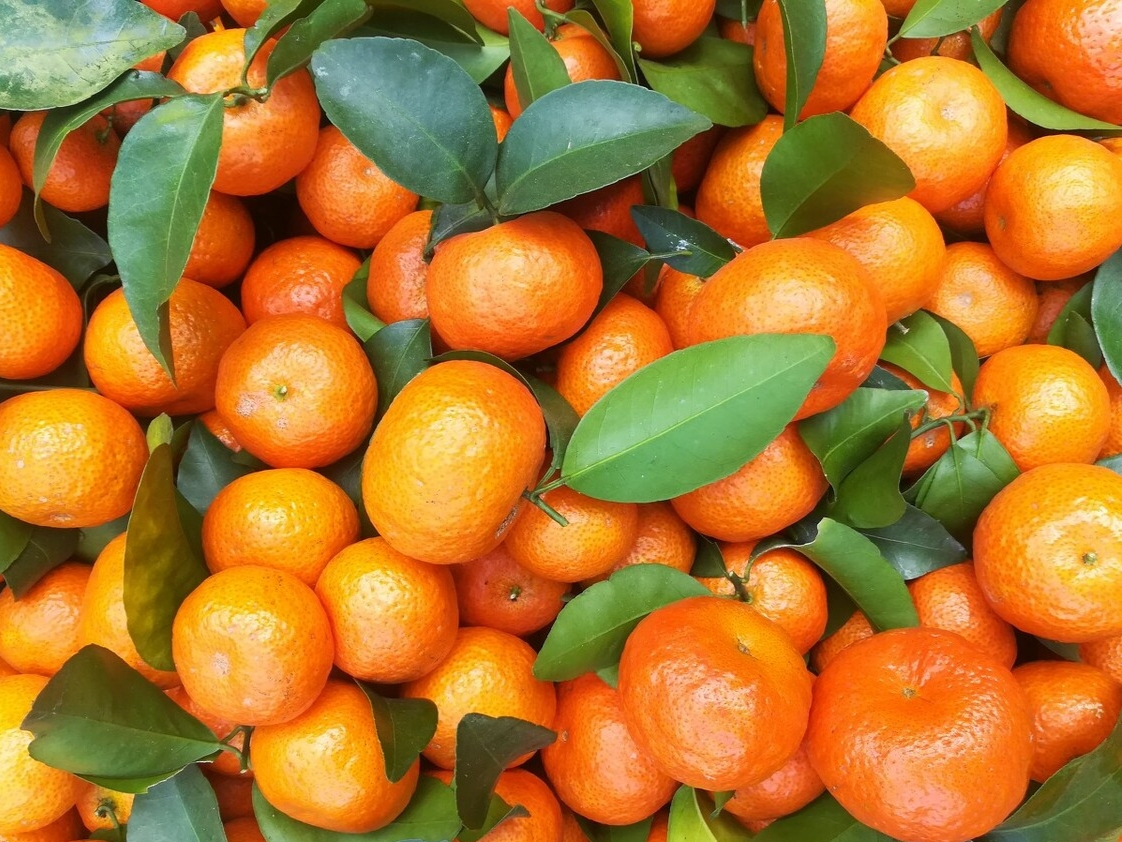砂糖橘还是砂糖桔?今年的砂糖橘为啥是酸的?来吃个桔子咱聊一聊