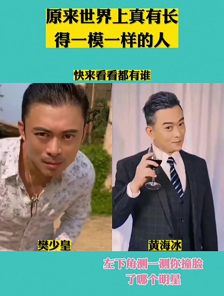 樊少皇撞脸黄海冰,这也太像了,看看还有哪位明星撞脸了