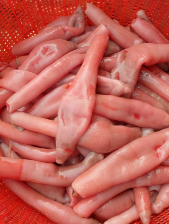 专为打工人而生的海肠用来做成刺身,口感真的爽脆-1