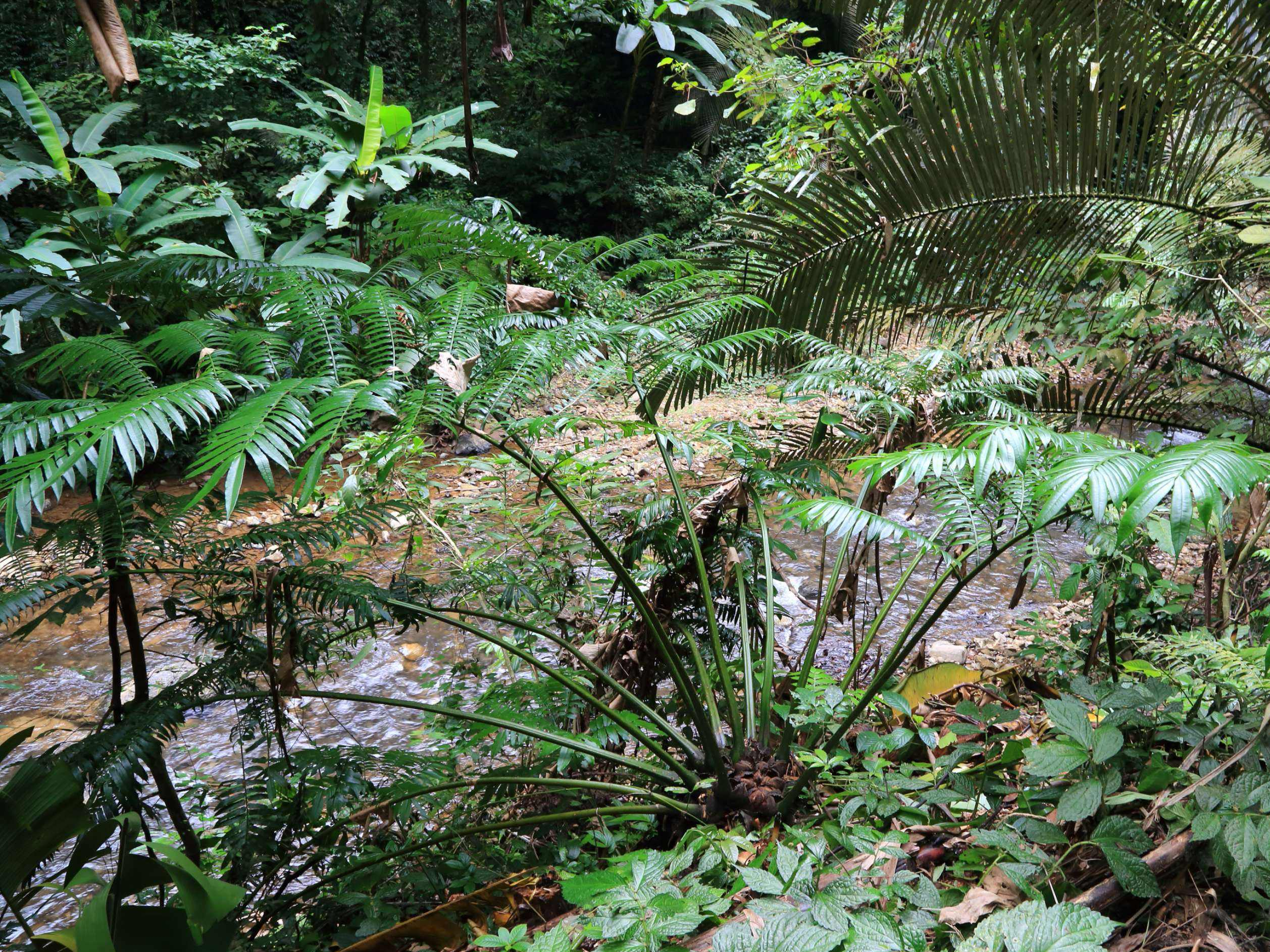 观音坐莲:若见到,别乱动,是"国宝"