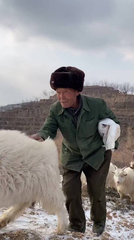 想来山里体验一下零下十几度的天气放羊的生活吗?