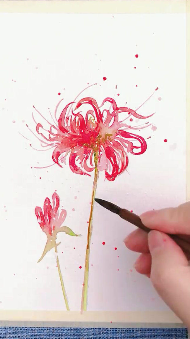 曼珠沙华水彩,你是我忘川河中千年的守候-度小视