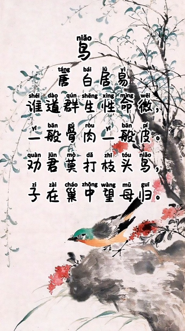 跟着课本听古诗,会听会说会唱,小学一年级下册《鸟》