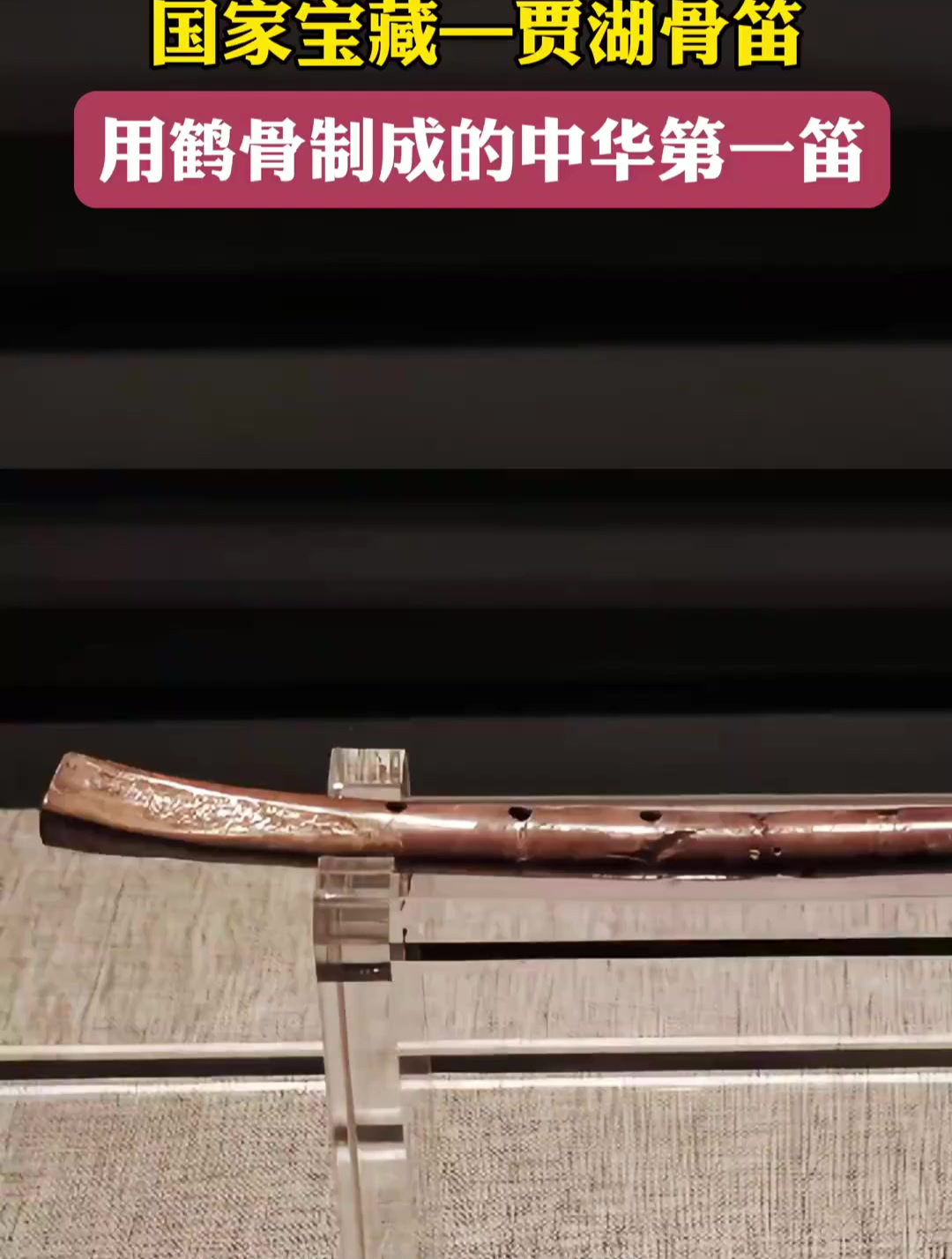 国家宝藏贾湖骨笛用鹤骨制成的中华第一笛