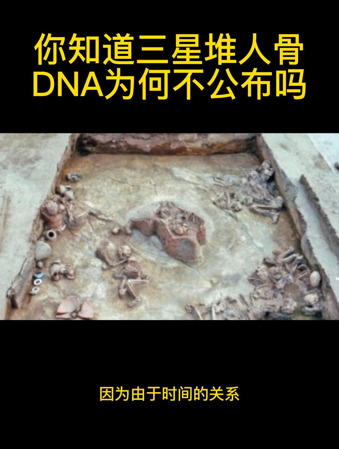 三星堆人骨DNA图片