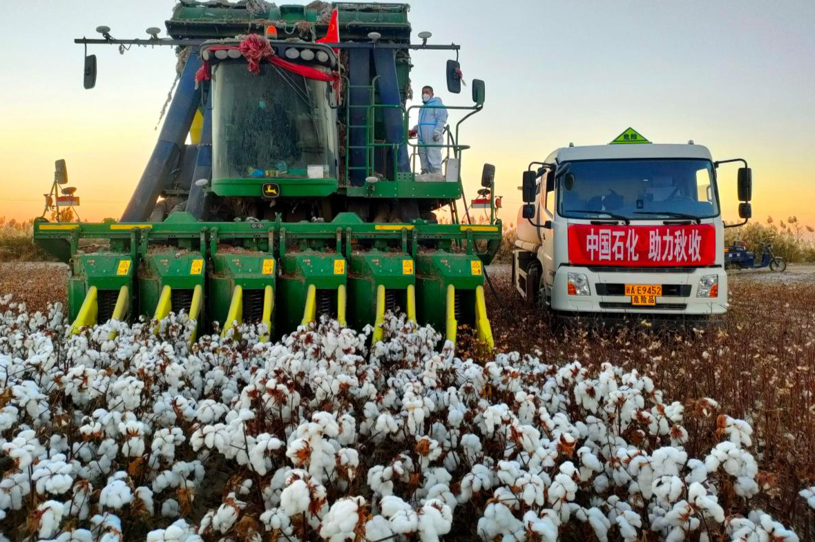 我国每年需进口上万吨棉花,又将优质的新疆棉花出口,原因是啥?