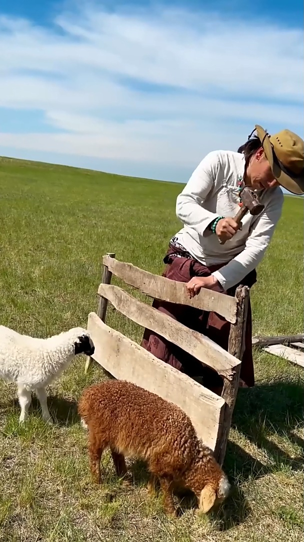 给小羊们,搭个简易的羊圈