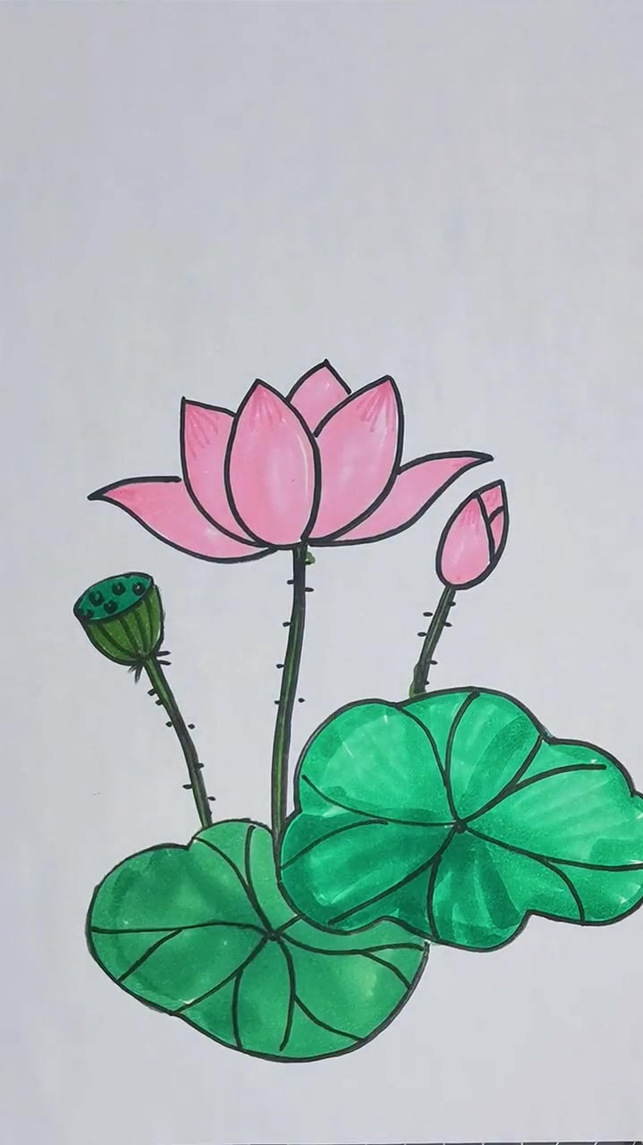 简笔画教程.马克笔画一朵荷花吧-度小视