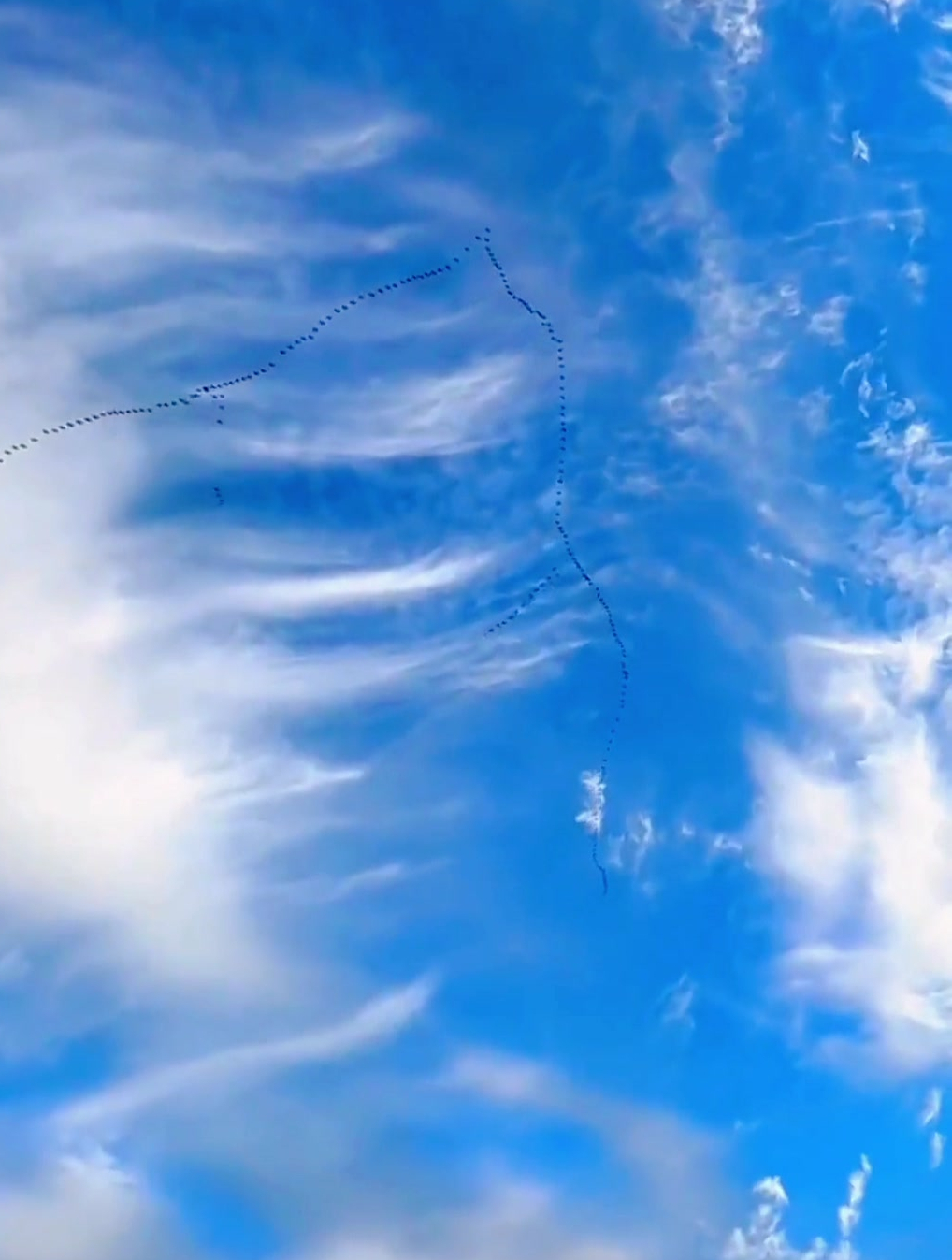 拍摄者:太壮观了!数百只大雁成人字形南飞-度小视