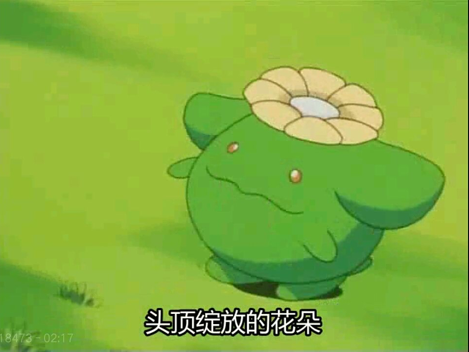 《神奇宝贝图鉴》no.188:头上的花朵会随着温度开合——毽子花