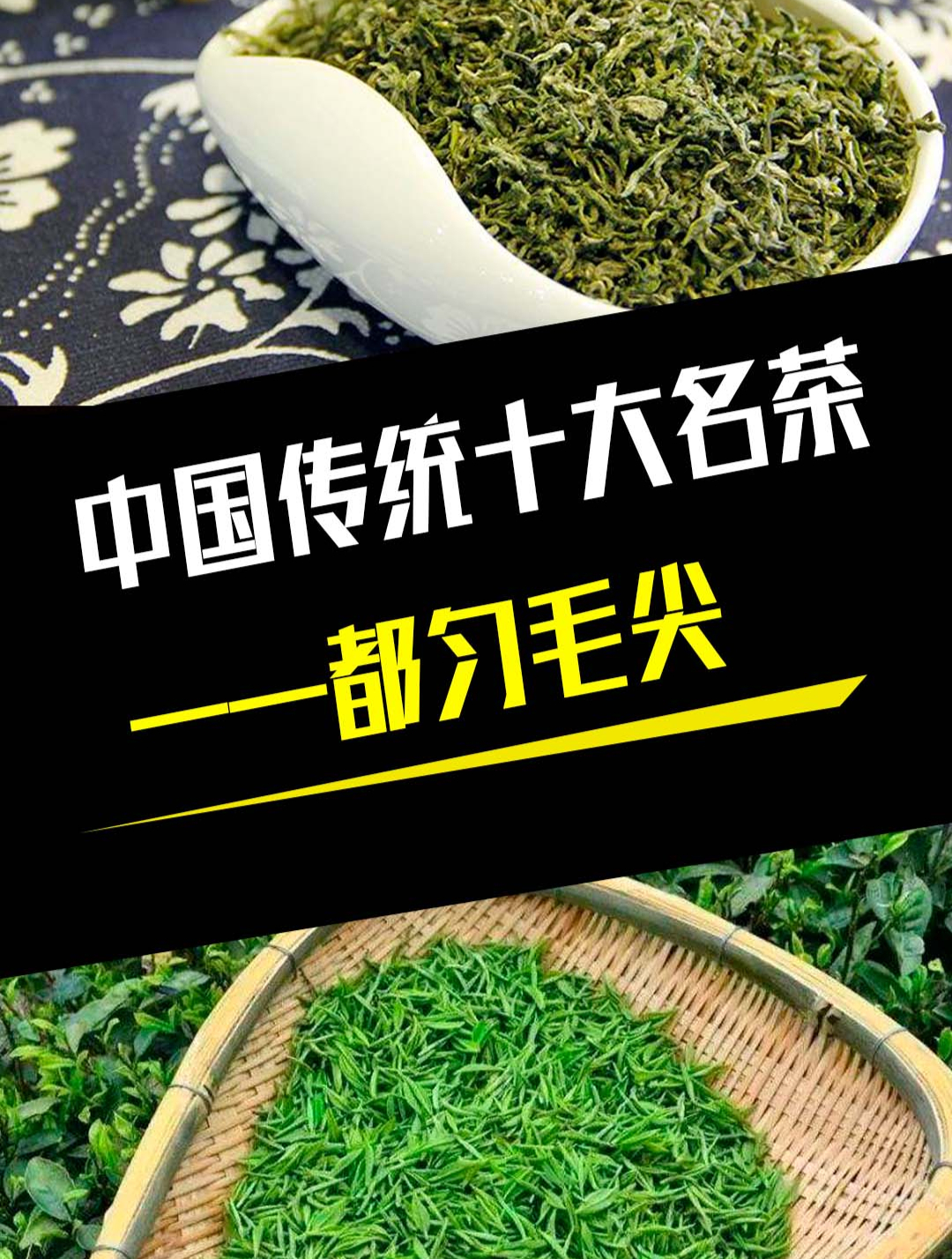 中国传统十大名茶都匀毛尖
