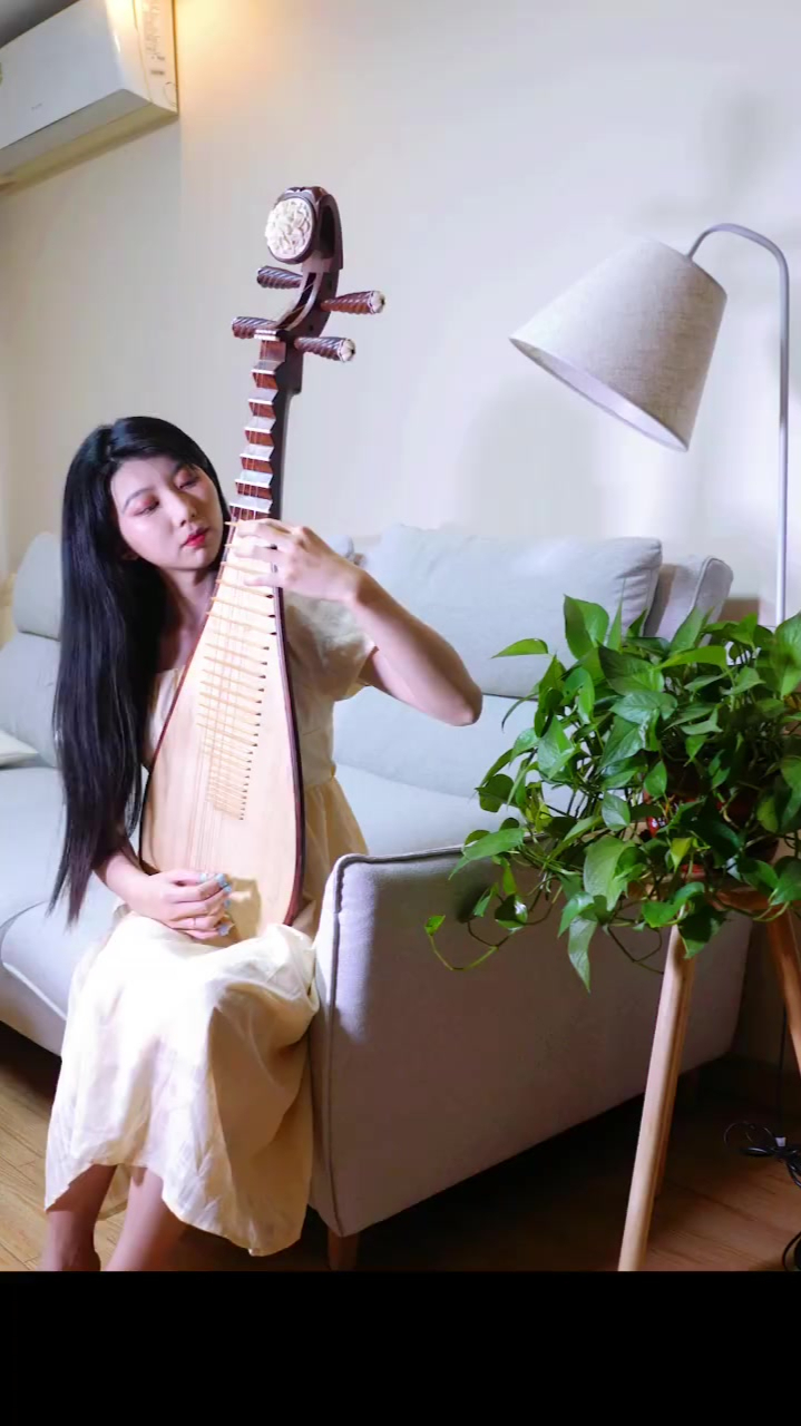 草原英雄小姐妹琵琶考级曲