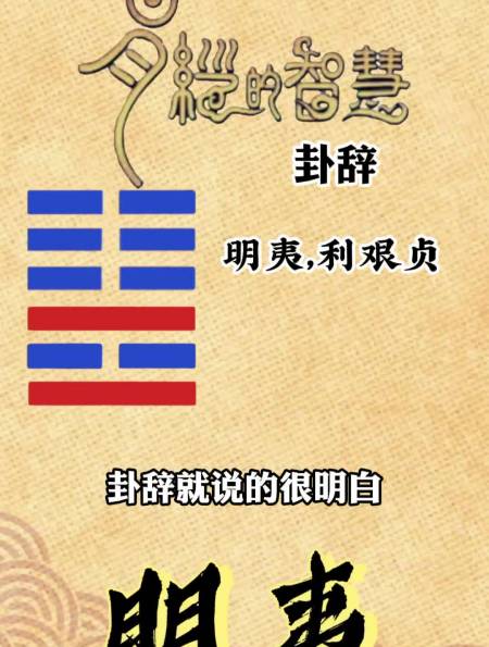 第三十六卦:明夷卦国学智慧易学智慧知识分享涨知识-度小视