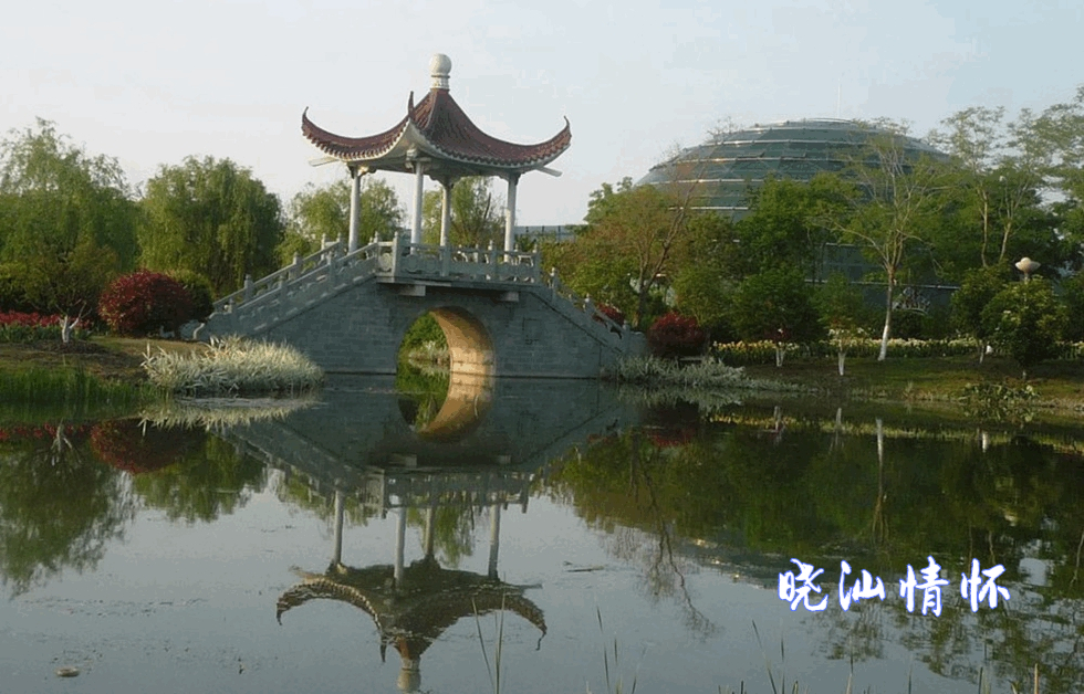 美丽的邂逅:江苏泰州花博园游记三