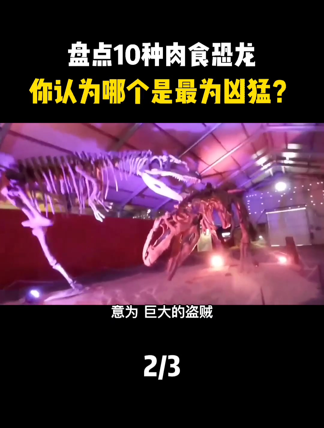 鲨齿龙那些锋利的牙齿 是多少食草恐龙的噩梦-度小视