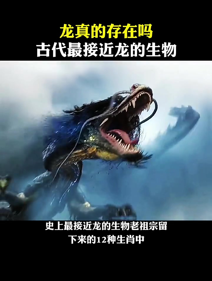 蛇大成蟒蟒大成蛟蛟大成龙