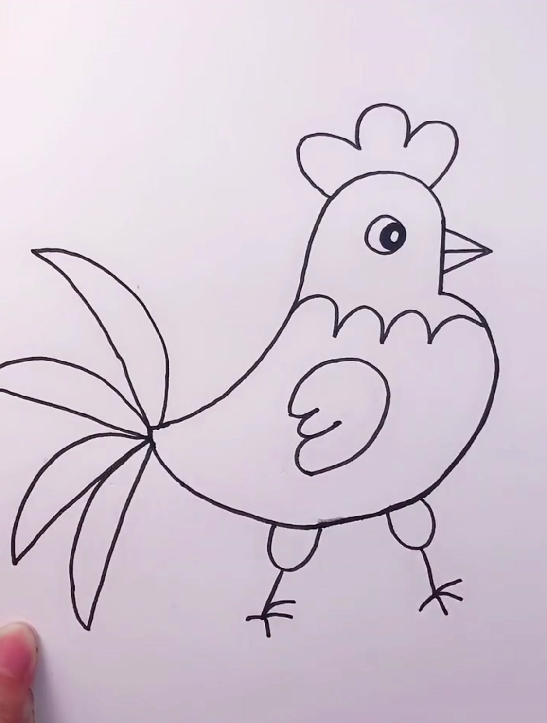 小公鸡图片铅笔画图片
