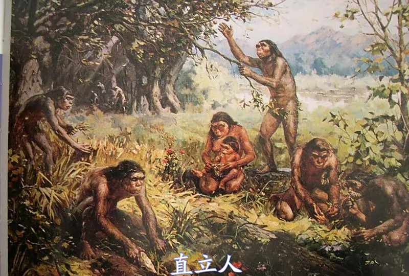 上新世的打制石器到当代的智能化,生产工具及其主导者的历史演变