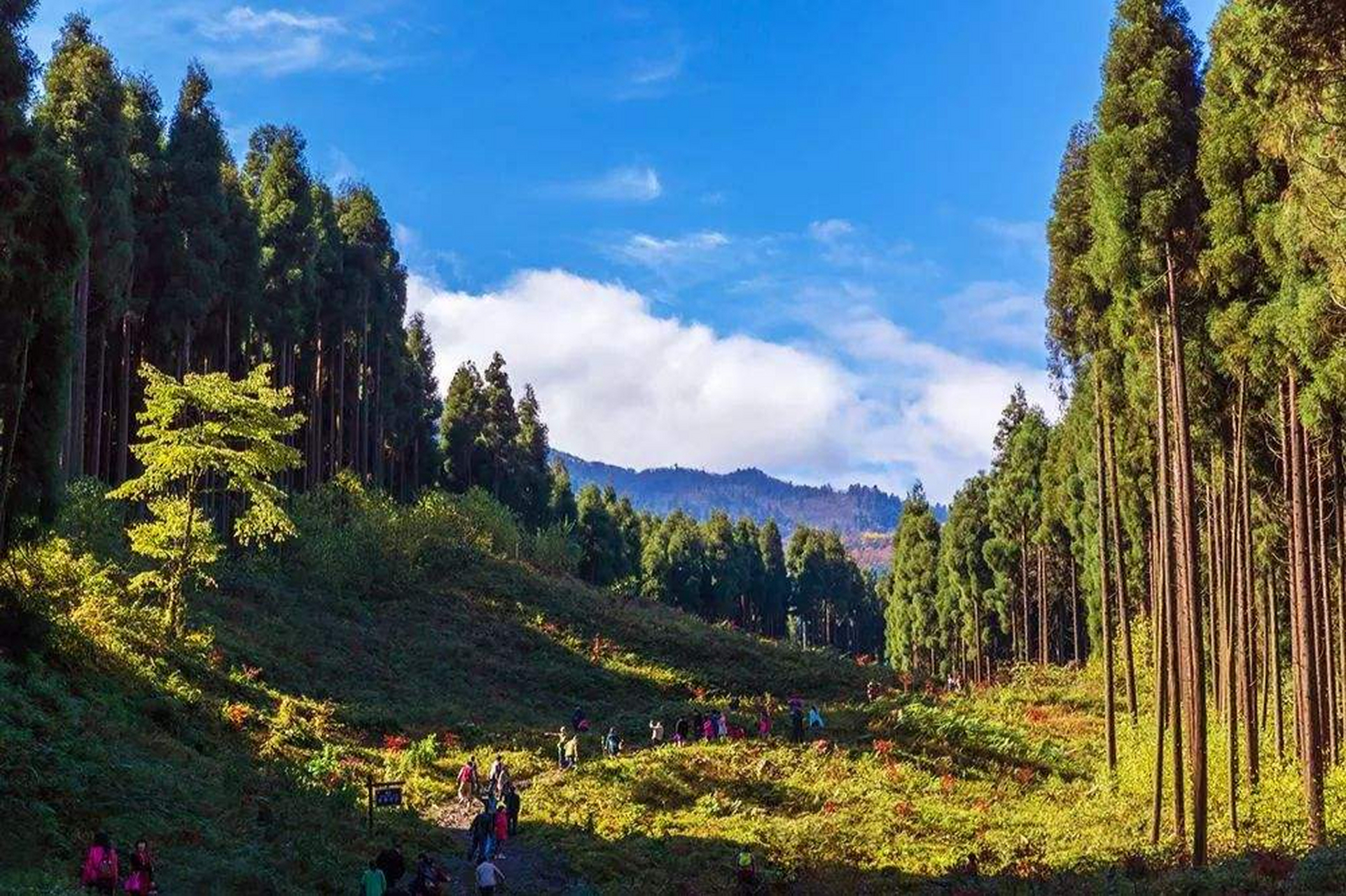 鸡冠山 崇州图片