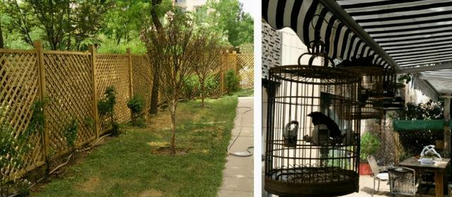 杨幂家的房子,拿整个院子给老爸种菜养花,堪称娱乐圈一股清流