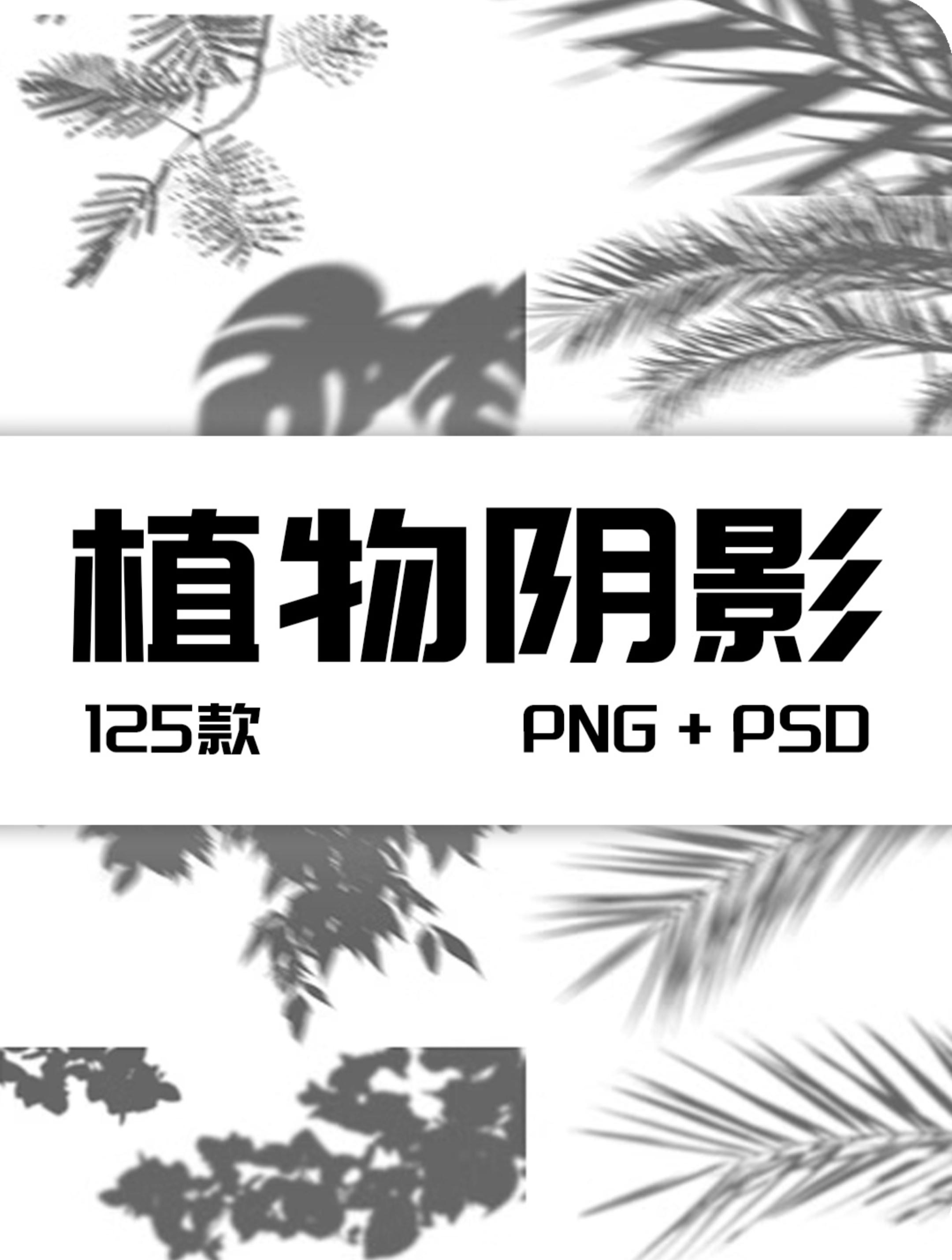 创意花卉植物叶子剪影阴影影子形状装饰元素png免抠psd模板ps素材
