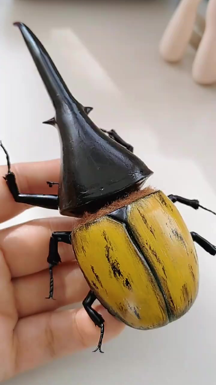 粘土教程捏一只世界上最大的甲虫吧