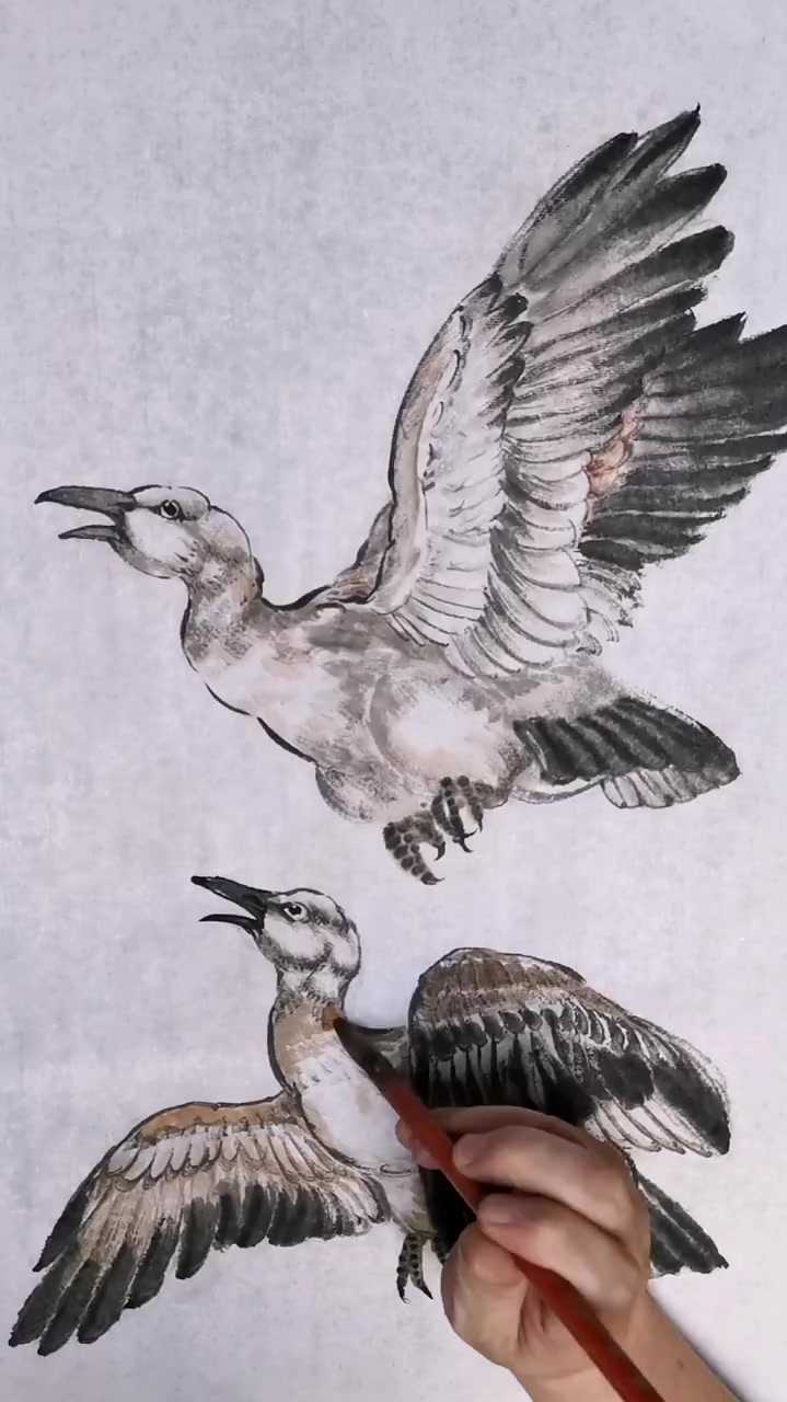 大雁 花鸟画 花鸟