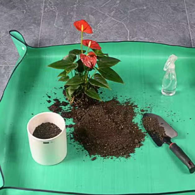 花卉种植,分步骤操作过程,保姆级养花教程分享!