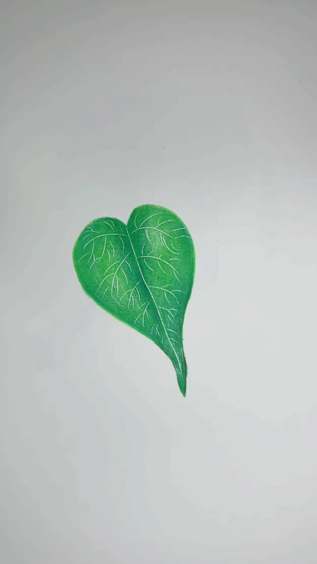 彩铅水滴树叶,绿意盎然