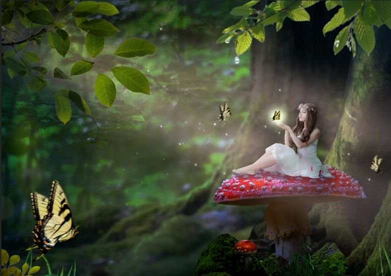 如果森林有童话高清图图片