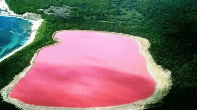 中国玫瑰湖:镶嵌在地球上的粉色宝石