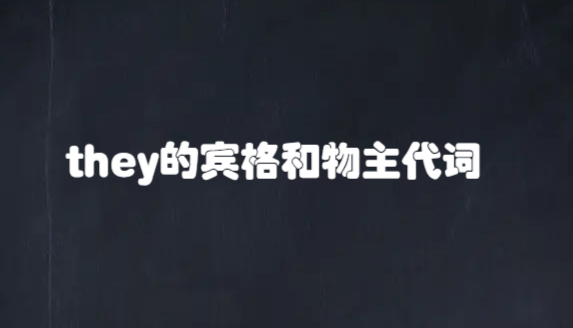 they的宾格和物主代词
