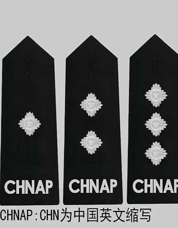 十款辅警警衔,你喜欢哪一款呢?