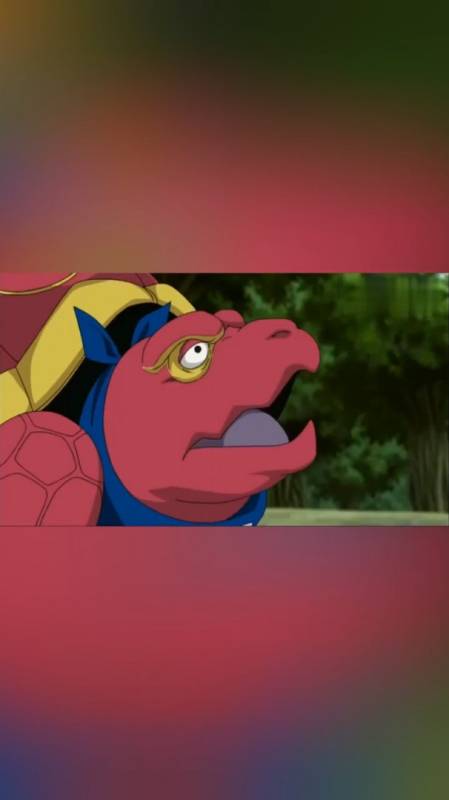 火影凯的忍龟出来见世面了连眼前这只大乌龟都说自己不算大